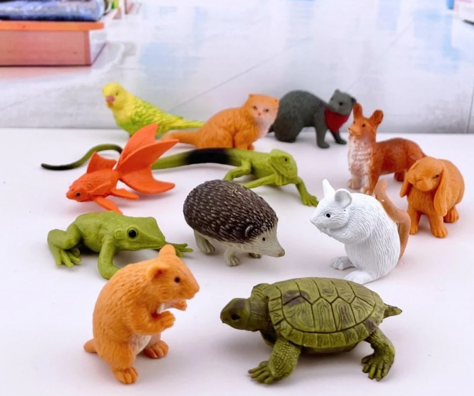 Zestaw Figurek w Tubie TOOB Safari Ltd. - Zwierzęta Domowe